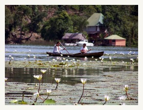 Rio Dulce lillies & canoe