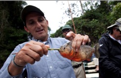 amazon cruise piranha fishing