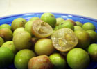 140_food_fruit_camucamu