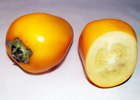140_food_fruit_cocona