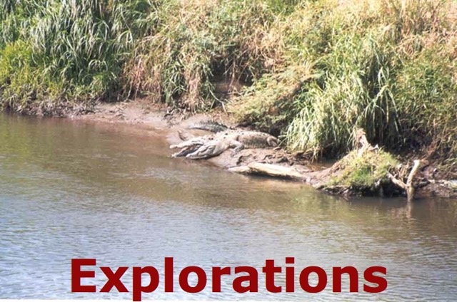 Tarcoles_River_Crocs_WM