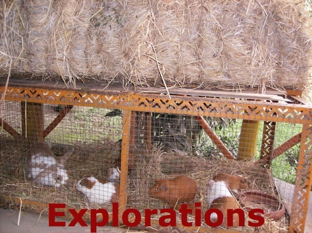 Peru South Coast Explorations - 209_WM