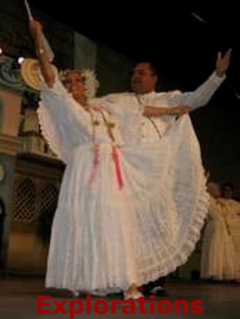 Pollera_WM