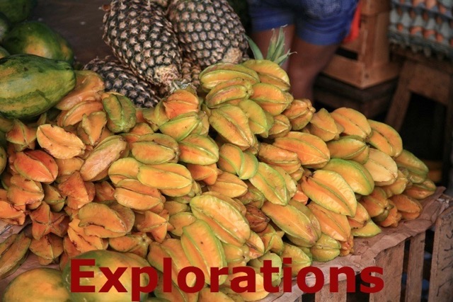 background fruits_WM