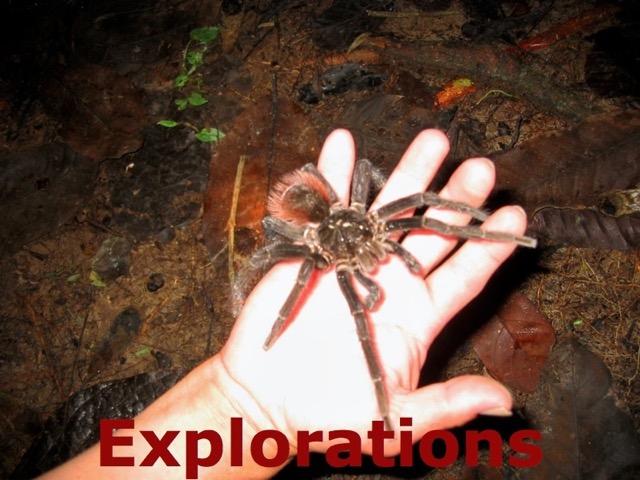 2008 Amazon Safari - 110_WM