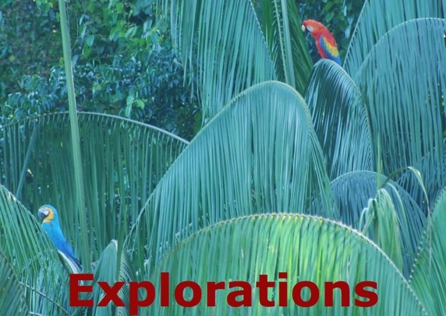 Amazon River rainforest tours and travel-4_WM