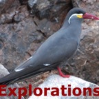 Nazca Lines, Paracas, Ballestas Islands, Nasca tours-9_WM